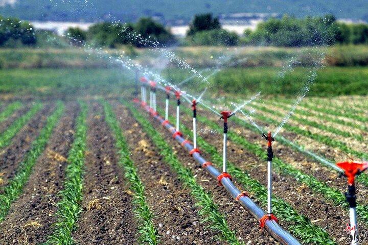 افتتاح ۲۳ طرح کشاورزی ایلام با سرمایه گذاری ۴۵۰ میلیارد تومانی در هفته دولت , مریم بالوی فیلی خبرنگار نودادامروز افتتاح ۲۳ طرح کشاورزی ایلام با سرمایه گذاری ۴۵۰ میلیارد تومانی در هفته دولت , مریم بالوی فیلی خبرنگار نودادامروز