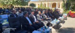 تولید عسل ایلام ۲۶ برابر مصرف داخلی استان است