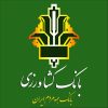 پرداخت ۸ هزار و ۱۲۳ میلیارد ریال انواع تسهیلات در شعب بانک کشاورزی ایلام