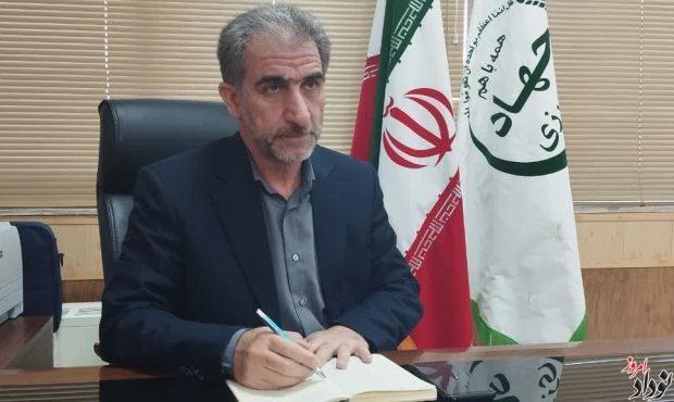تولید سالانه ۳۳۰۰ تن تخم مرغ در واحدهای مرغداری ایلام , مریم بالوی فیلی خبرنگار نودادامروز تولید سالانه ۳۳۰۰ تن تخم مرغ در واحدهای مرغداری ایلام , مریم بالوی فیلی خبرنگار نودادامروز