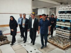 بازرسی‌ های مستمر تضمین‌ کننده کیفیت کالا و حقوق مصرف‌کننده است