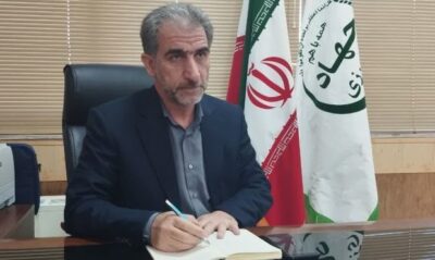 پیش‌بینی برداشت ۸ هزار تن انگور در شهرستان ایوان