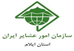تداوم خدمت‌ رسانی به عشایر ایلام در شرایط جنگی | ناوگان راهسازی امور عشایر تقویت شد