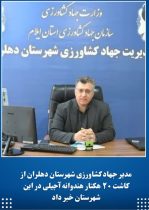 کاشت ۲۰ هکتار هندوانه آجیلی برای نخستین بار در شهرستان دهلران