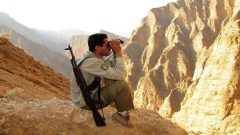سرشماری پاییزه حیات‌ وحش در منطقه حفاظت‌ شده کولگ مهران آغاز شد