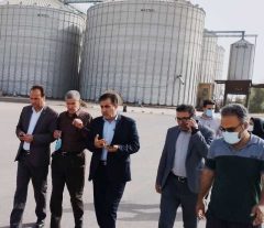 پرداخت یک هزار و ۹۳۰ میلیارد ریال از مطالبات گندم کاران ایلام