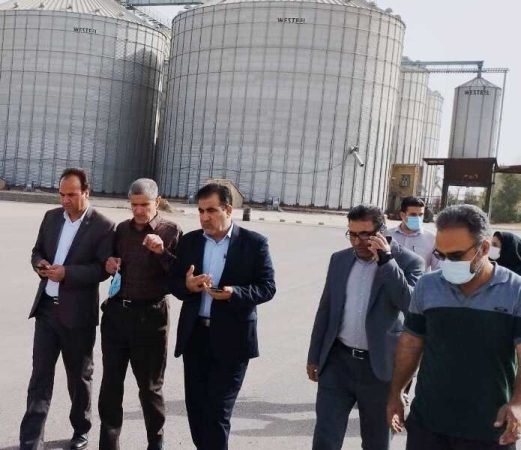 پرداخت یک هزار و ۹۳۰ میلیارد ریال از مطالبات گندم کاران ایلام
