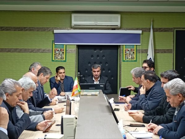 توزیع ۱۷ قلم کالای اساسی بدون واسطه در ایلام