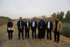 نهالستان‌ ها زیربنای اجرای طرح‌ های ملی جنگل‌کاری و آبخیزداری هستند