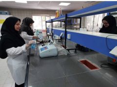 ثبت بیش از ۸۰۰ هزار پایش و آزمایش بهداشتی آب در استان ایلام