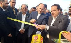 افتتاح طرح گلخانه‌ ای ۷ هزار متری در دشت عباس دهلران
