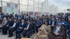 قطعی برق، بی‌آبی و نیمه‌ تمام ماندن پروژه‌ های کشاورزی نفس کشاورزان جنوب ایلام را گرفته است