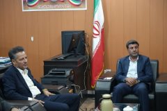 پیشرفت ۵۰ درصدی پروژه فاز اول گازرسانی به مرز چیلات/ دهلران در جمع شهرستان‌ های سبز ایلام