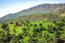 برخورد با زمین‌ خواری و تغییر کاربری غیرمجاز در استان ایلام با جدیت ادامه دارد