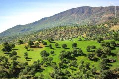 برخورد با زمین‌ خواری و تغییر کاربری غیرمجاز در استان ایلام با جدیت ادامه دارد