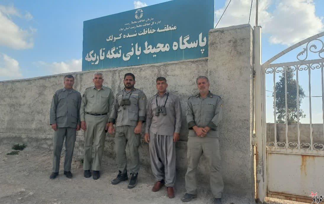 تشدید پایش و آمادگی دفاعی در مناطق مرزی محیط زیست ایلام در پی تحولات اخیر و جنگ تحمیلی صهیونی_آمریکایی , مریم بالوی فیلی خبرنگار نودادامروز تشدید پایش و آمادگی دفاعی در مناطق مرزی محیط زیست ایلام در پی تحولات اخیر و جنگ تحمیلی صهیونی_آمریکایی , مریم بالوی فیلی خبرنگار نودادامروز