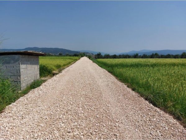 حل مشکلات زیرساختی ناشی از سیلاب برای باغداران ایوان
