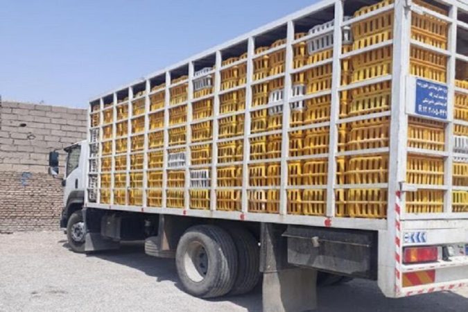 آغاز اجرای عملیات نظارت بر زنجیره مرغ در ایلام | توقیف بیش از ۱۳ تن مرغ زنده در جریان تشدید نظارت بر زنجیره تأمین