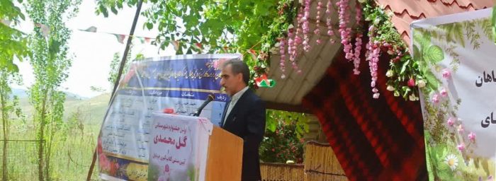 آیین افتتاح نخستین جشنواره گل محمدی و گلاب‌ گیری در بخش آسمان‌ آباد شهرستان چرداول ؛ ۱۵۰ هکتار از اراضی استان به کشت گل محمدی اختصاص یافته است