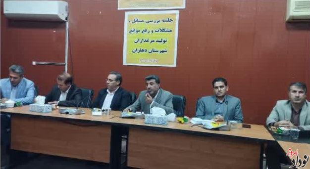 یاری رساندن به فعالان حوزه مرغداری نیازی بنیادین برای امنیت غذایی جامعه است