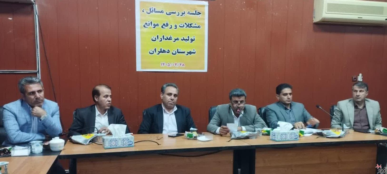 یاری رساندن به فعالان حوزه مرغداری نیازی بنیادین برای امنیت غذایی جامعه است , مریم بالوی فیلی خبرنگار نودادامروز یاری رساندن به فعالان حوزه مرغداری نیازی بنیادین برای امنیت غذایی جامعه است , مریم بالوی فیلی خبرنگار نودادامروز