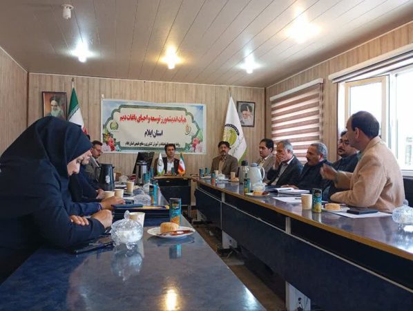 احیای باغات دیم ایلام با پروژه‌ های تحقیقاتی و اعتبارات استانی کلید خورد