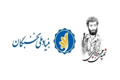 ایلام رتبه نخست کشور در اجرای طرح شهید وزوایی را کسب کرد