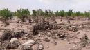 خسارت بارش شدید تگرگ به مزارع کشاورزی شهرستان چوار 