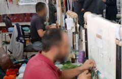 ۸۰۰ زندانی در ایلام گواهینامه بین‌ المللی مهارت دریافت کردند