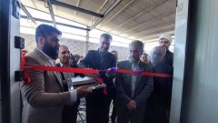 پایان ۲۰ سال انتظار با افتتاح کشتارگاه صنعتی ایوان | هماهنگی دستگاه‌ها، گره‌گشای پروژه‌های راکد است