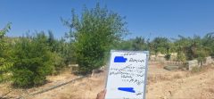 شناسایی و قطع ۵ فقره انشعاب غیرمجاز آب در مسیر چشمه‌ کبود ایلام
