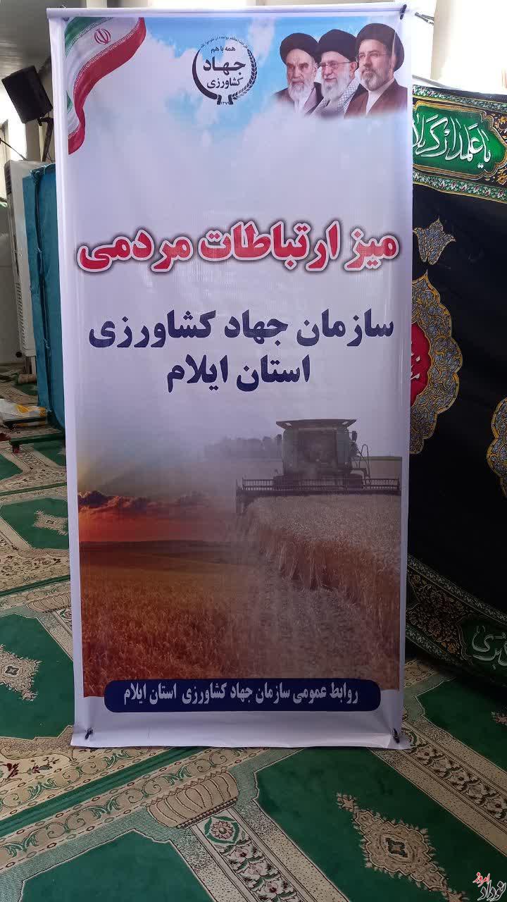 توسعه زیرساخت های تولید و نظارت بر بازار از اولویت های جهاد کشاورزی ایلام است , مریم بالوی فیلی خبرنگار نودادامروز توسعه زیرساخت های تولید و نظارت بر بازار از اولویت های جهاد کشاورزی ایلام است , مریم بالوی فیلی خبرنگار نودادامروز