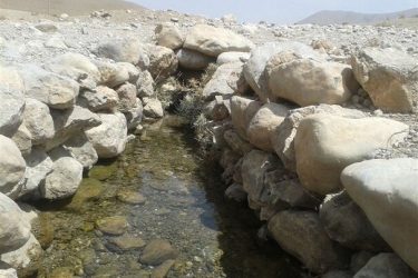 آغاز پایش و آبرسانی به آبشخورهای حیات وحش ایلام در فصل گرما