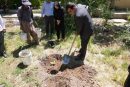 توسعه باغ گیاه شناسی جهاد کشاورزی ایلام با احداث ذخیرهگاه ژنتیکی واریتههای مختلف انجیر بومی استان