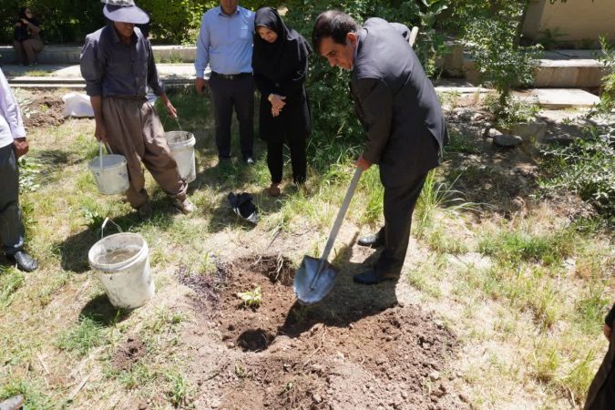 توسعه باغ گیاه‌ شناسی جهاد کشاورزی ایلام با احداث ذخیره‌گاه ژنتیکی واریته‌های مختلف انجیر بومی استان