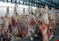کشتارگاه صنعتی دام ایوان با حضور رئیس‌جمهور و وزیر جهاد کشاورزی افتتاح شد