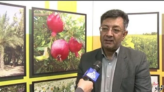 علیرضا طولابی رئیس سازمان جهاد کشاورزی استان ایلام , بیوگرافی و سوابق علیرضا طولابی رئیس سازمان جهاد کشاورزی استان ایلام , مریم بالوی فیلی خبرنگار نودئادامروز علیرضا طولابی رئیس سازمان جهاد کشاورزی استان ایلام , بیوگرافی و سوابق علیرضا طولابی رئیس سازمان جهاد کشاورزی استان ایلام , مریم بالوی فیلی خبرنگار نودئادامروز
