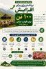 برنامه‌ ریزی برای افزایش ۱۰۰ تن تولید گوشت عشایر در سال ۱۴۰۵