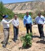تأمین اعتبار برای ادامه توسعه باغات دیم ایلام در سال جاری پیگیری میشود