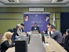مشکلات صنعتگران و هنرمندان صنایع‌ دستی ایلام با راهکارهای عملیاتی رفع می‌ شود