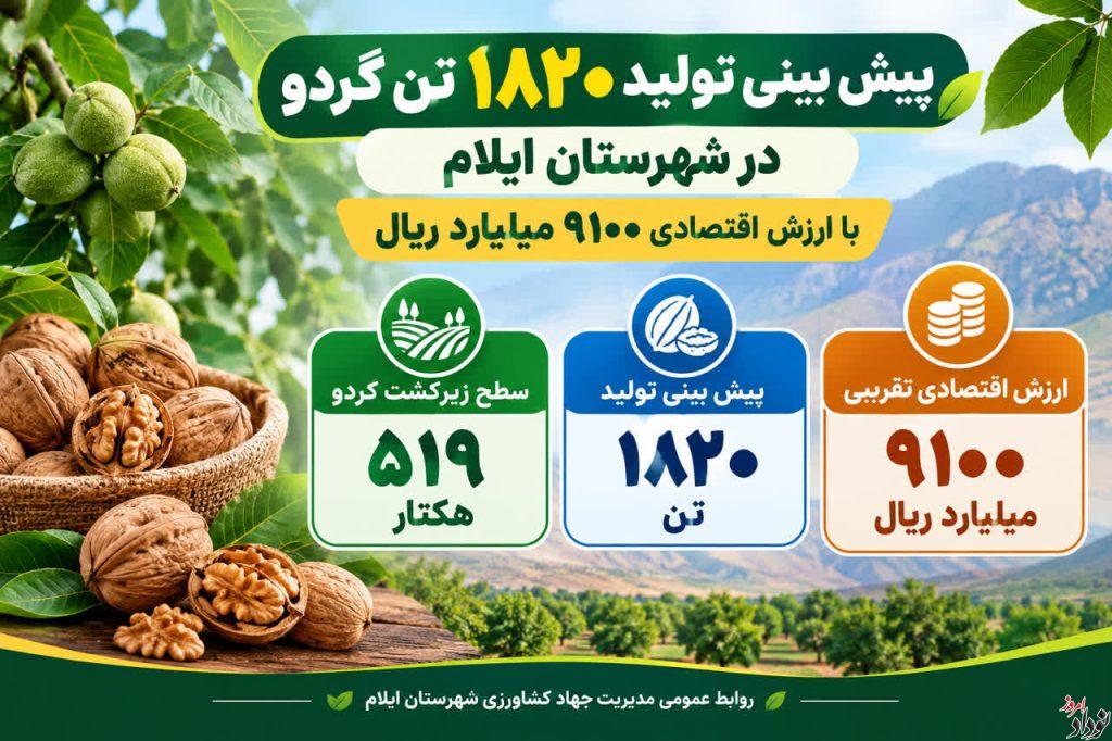 پیش بینی تولید ۱۸۲۰ تن گردو در شهرستان ایلام با ارزش اقتصادی ۹۱۰۰ میلیارد ریال , مریم بالوی فیلی خبرنگار نودادامروز پیش بینی تولید ۱۸۲۰ تن گردو در شهرستان ایلام با ارزش اقتصادی ۹۱۰۰ میلیارد ریال , مریم بالوی فیلی خبرنگار نودادامروز