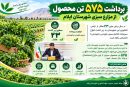 برداشت ۵۷۵ تن محصول از مزارع سبزی شهرستان ایلام