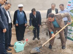 کاشت پنج هزار نهال در مناطق روستایی و عشایری ایلام